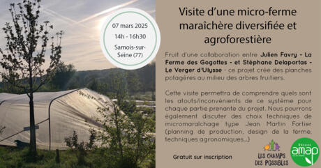 Visite d'une microferme maraîchère diversifiée et agroforestière en bio : la ferme des Gogottes et le Verger d'Ulysse