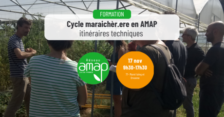 [cycle maraicher.ere en AMAP]- Itinéraires techniques