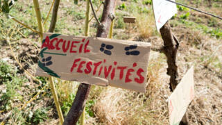 Des ressources pour les 20 ans