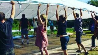 Adhérer au Réseau AMAP IdF