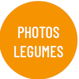 logo Photos légumes